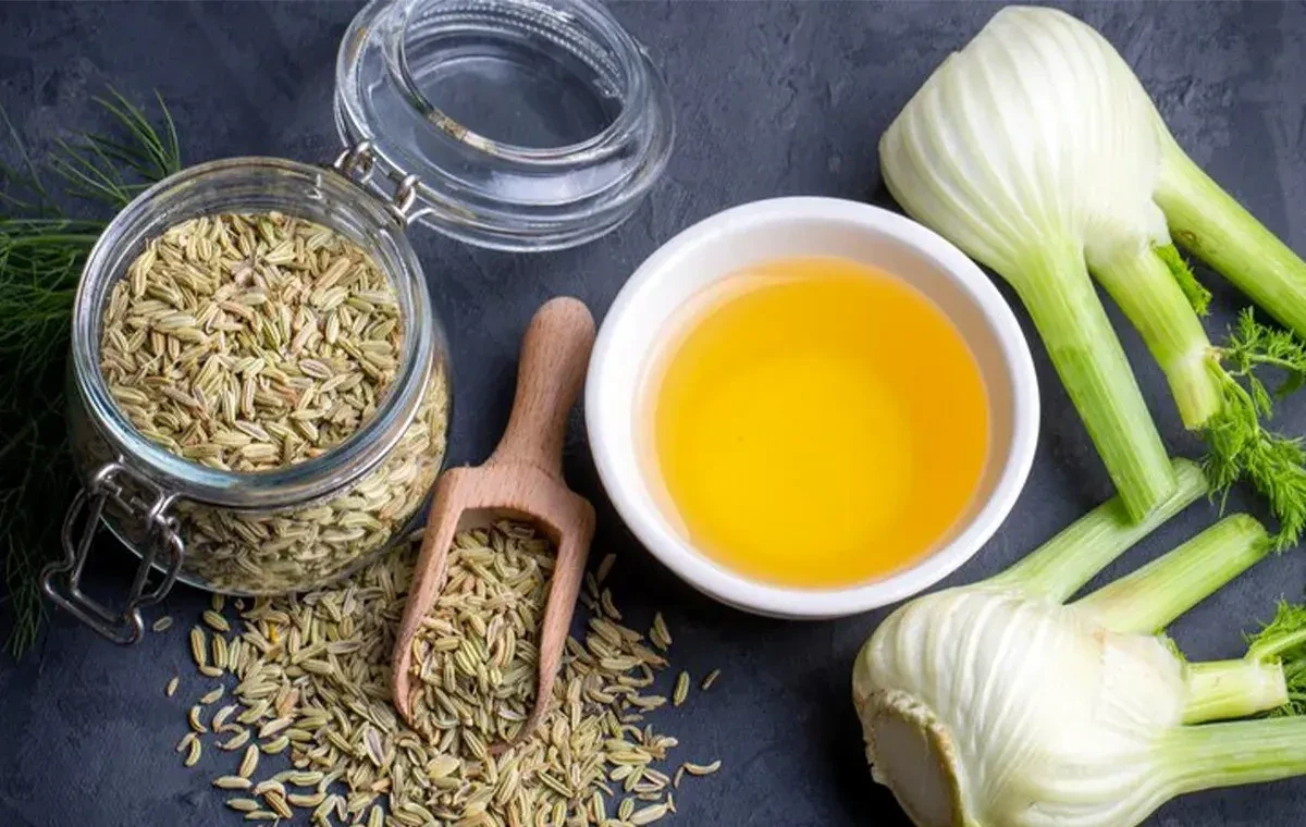 خواص رازیانه؛ فواید علمی و روش مصرف برای سلامتی
